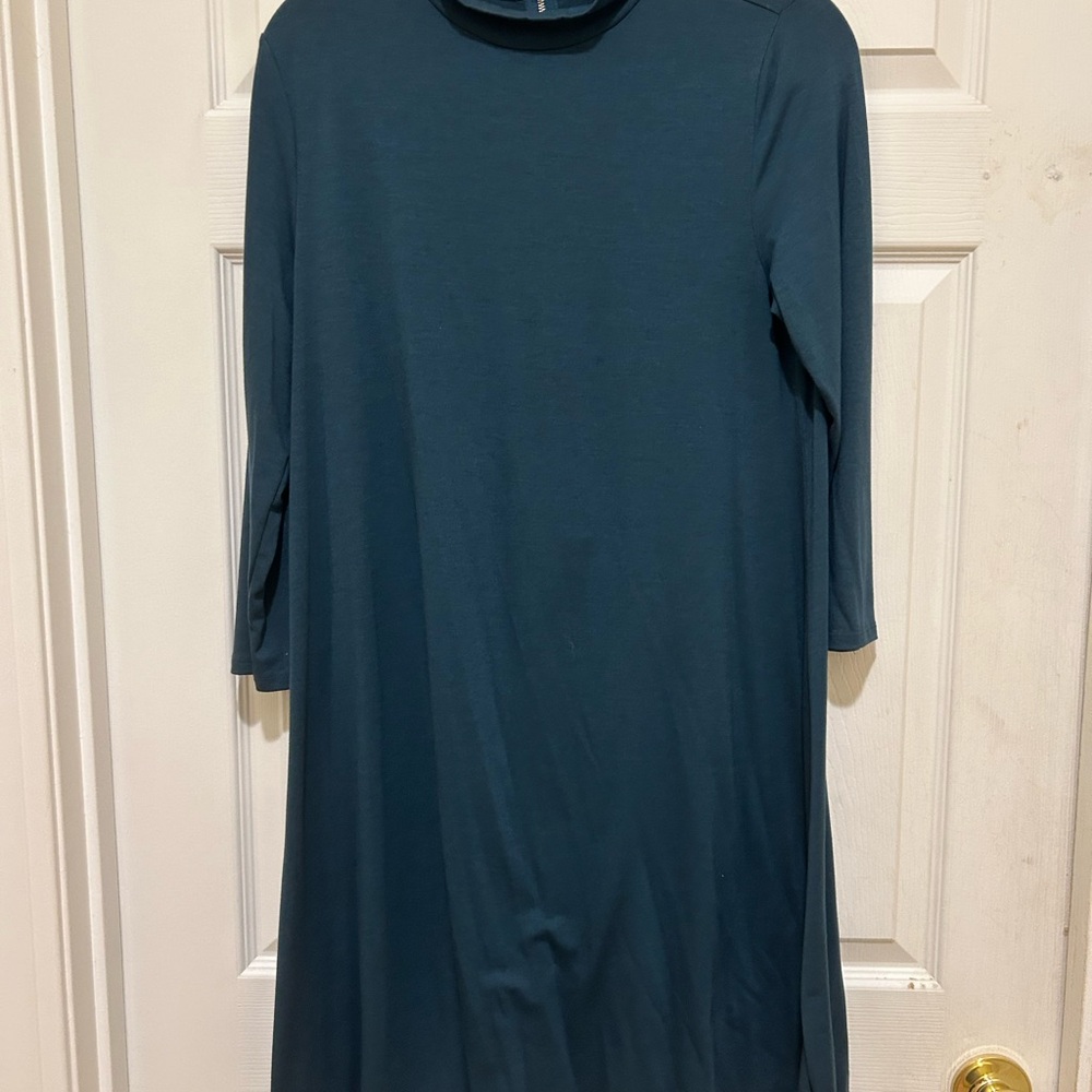 The Limited Green A-Line Dress with Mock Neck and Long Sleeves